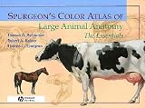 Spurgeon s Color Atlas of Large Animal Anatomy **ISBN: 9780683306736**