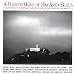 Taxim-Fourth Wave of Bay Area Blues: Blues Songs 4