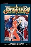 Bastard!!: Volume 14 (Bastard!!)