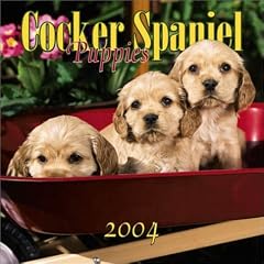 Cocker Spaniel Puppies Mini Wall Calendar: 2004