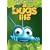 A Bug's Life