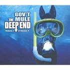 Click here to buy The Deep End, Vols. 1-2 by  Gov't Mule .