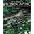 The Art And Craft of Stonescaping: Setting & Stacking Stone