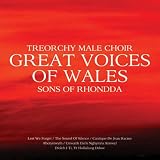 Sons of Rhondda