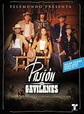 Buy Pasion de Gavilanes DVD's & Merchandise at Amazon