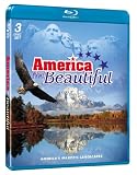 America the Beautiful [Blu-ray]