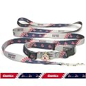 Saint Louis Cardinals Dog Collar, Leash, and ID Set (Large 18 in. - 26 in.)