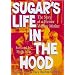 Sugar's Life in the Hood: The Story of a Former Welfare Mother
