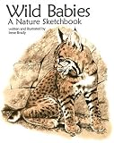 Wild Babies, a Nature Sketchbook