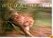 Wild at Heart: Man and Beast in Southern Africa