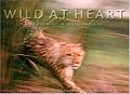Wild at Heart: Man and Beast in Southern Africa