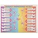 American Educational 2553TR What Mineral Is It? Chart Transparency