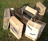 2 Large Three Chamber Bat Houses
