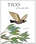 Tico et les ailes d'or