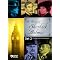 British Mystery Detective &/or Copper DVDs