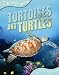 Animal Lives: Tortoises and Turtles (QED Animal Lives)