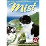 Mist the tale of a sheepdog puppy