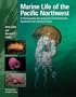 Marine Life of the Pacific Northwest: A Photographic Encyclopedia of Invertebrates, Seaweeds and Selected Fishes