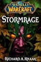 World of Warcraft: Stormrage by Richard A. Knaak