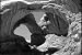 Search : Classic Utah State History Film DVD: 1948 State of Utah Film Entitled, Desert Empire, Goes On A Journey Through Utah, Salt Lake City, & Includes Footage of Arches National Park
