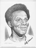 1974 Bobby Darwin Minnesota Twins Lithograph