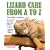 Lizard Care from A to Z
