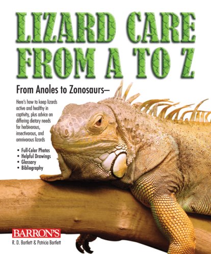 Lizard Care from A to Z
