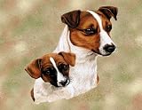 Jack Russell and Puppy Woven Lap Square (Throw Blanket)