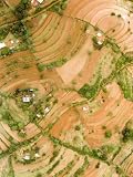 This is Heavily Terraced Dryland Farming, Kenya Photographic Poster Print by Michael Fay, 9x12