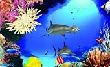Click for more about Blue Planet 3D Aquarium (PC) - Focus Multimedia Ltd.