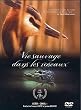 La vie sauvage dans les roseaux