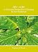 Search : HIV/AIDS - A Christian Perspective of Healing for the Caribbean
