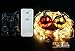 Fairy Lights, LED string lights with Remote and Timer (100 LEDs)