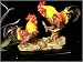 Colorful Roosters Cock Fighting