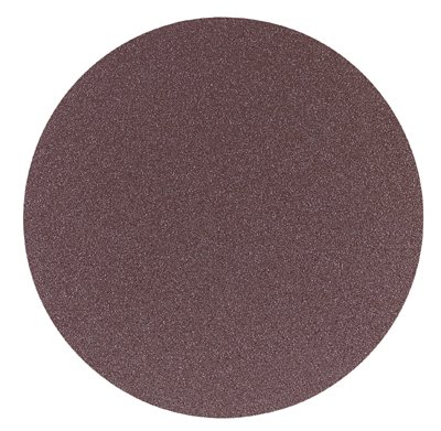 Tools: Delta 31 422 12 Inch 80 Git Sanding Disc  2 Pack 