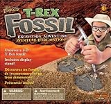 T-Rex Fossil Excavation