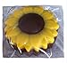 3 x 3 Inch Self Sealing Ultra Clear Plastic Cello Bags 200/Pk Viking SmithsTM Brand For Chocolate Covered Oreo Cookies