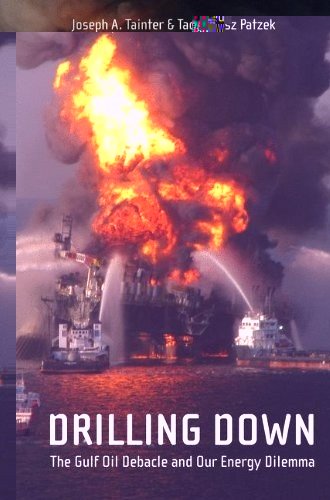 Drilling Down: The Gulf Oil Debacle and Our Energy Dilemma
