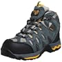 Golden Retriever Men's Waterproof Hiking Boot,Grey,13 M