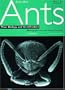Australian Ants: Their Biology and Identification (Monographs on Invertebrate Taxonomy)