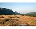 Photographic Prints of India - Bandhavgarh National Park - Madhya Pradesh from Ardea Wildlife Pets