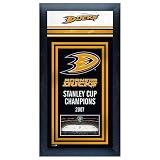 Anaheim Ducks Stanley Cup Champions Framed Wall Art