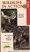 Wildlife in Action 2: Giants of the Forest/Big Horns of Beauty Creek