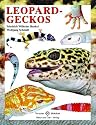 Leopardgeckos