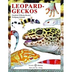 Leopardgeckos