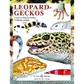 Leopardgeckos