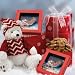 Mrs. Beasley's Holiday Bear and Cookies, 50 Cookies