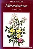The smaller rhododendron