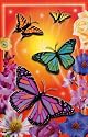 BUTTERFLY GARDEN Poster PsYcHeDeLiC Color Print College - 24" x 36"