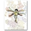 Summer Fairy - Gift Enclosure Cards (set of 12)
